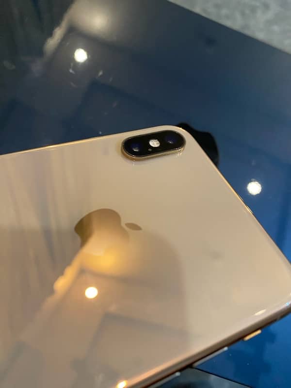 XS Max 3