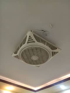 Royal Elegant Bracket Fan