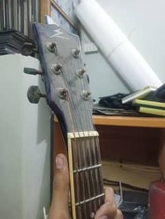 acoustic guitar