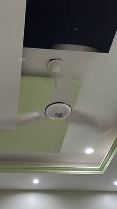 Pak Fan - Ceiling Fan for sale