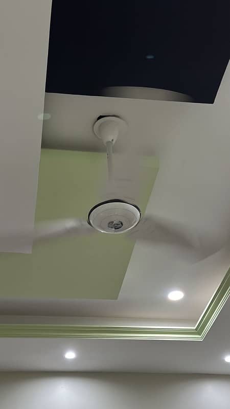 Pak Fan - Ceiling Fan for sale 0