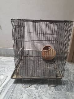 Iron 1.5 x 1.5 cage for sale for parrots or hen