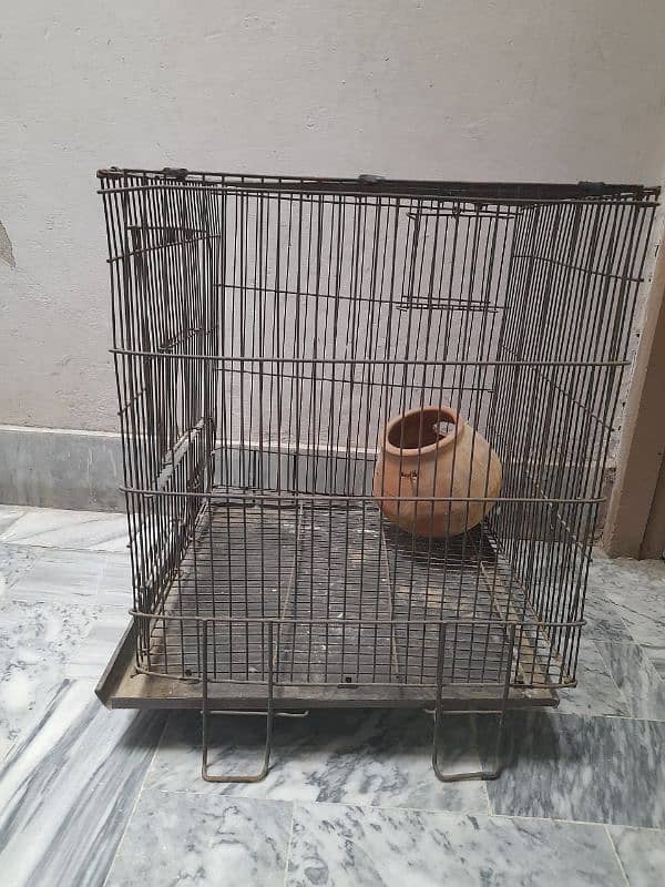 Iron 1.5 x 1.5 cage for sale for parrots or hen 0