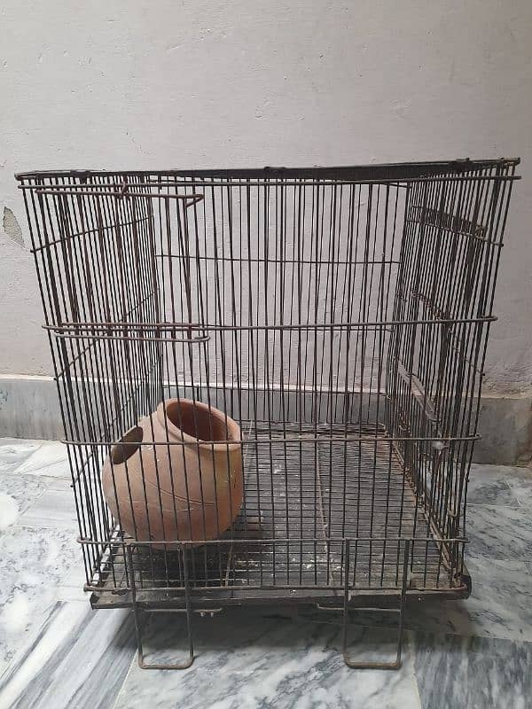 Iron 1.5 x 1.5 cage for sale for parrots or hen 1