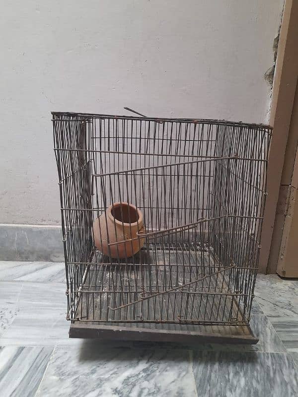 Iron 1.5 x 1.5 cage for sale for parrots or hen 2