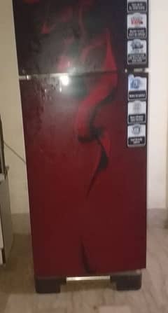 PEL CARVED GLASS DOOR REFRIGERATOR