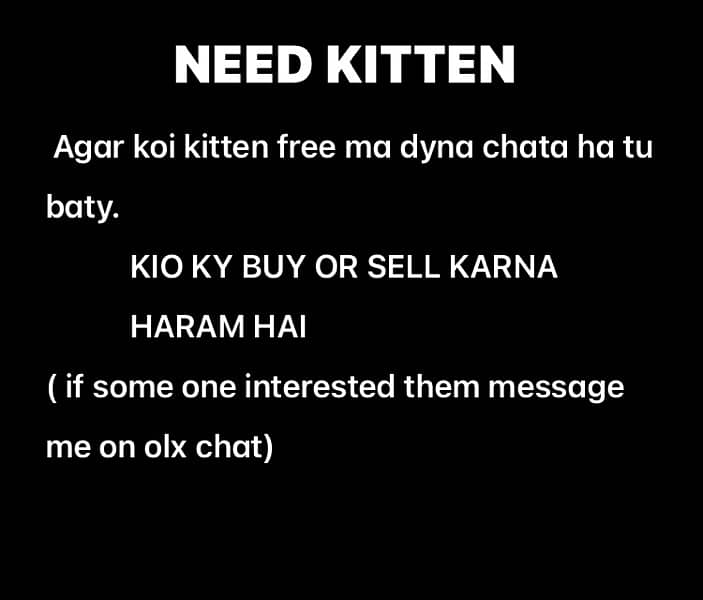 NEED FREE KITTEN 0