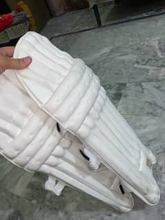 cricket kit