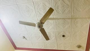 Ceiling fan