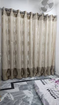 Branded Curtain Pair