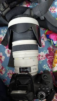 canon 35-350mm lens