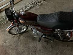 Honda 125 2025 model