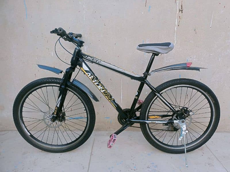 imported full size bicycle 1