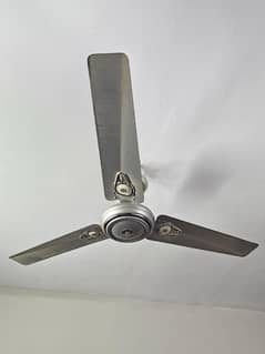 Ceiling Fans (Good Condition)