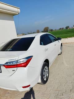 Toyota Corolla GLI 2019 model Genuine milage