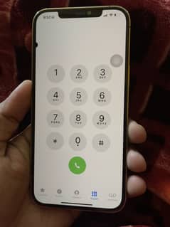 iphone 12 pro max pta approved