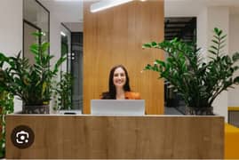 Receptionist