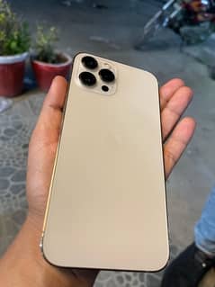 Iphone 12 pro max PTA approved