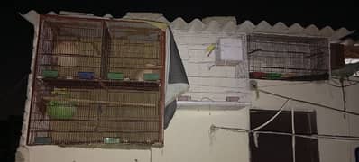 all cages for sale urgent . 0311.260. 80.72.