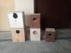 Breading Box for sale total 5 hen 3 love birds k hen or 2 Cocktail k