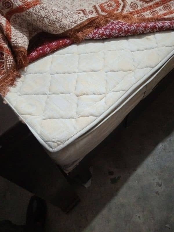 molty foam mattress only call 1