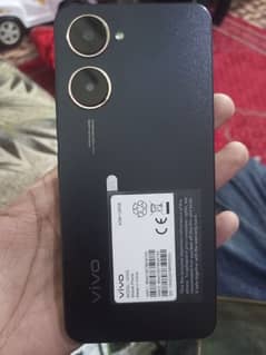 vivo