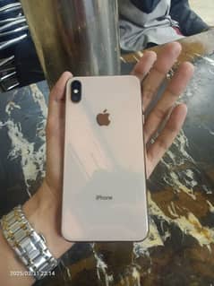 XS MAX 256GB