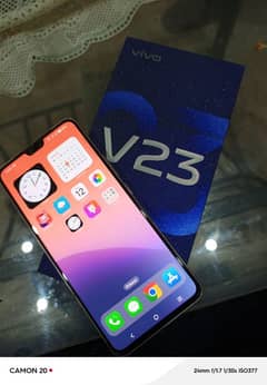 Vivo