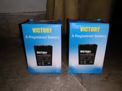 VICTORY Dry Batteries 6Volt