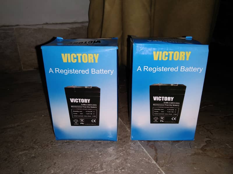 VICTORY Dry Batteries 6Volt 0