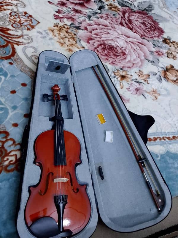 Japanese violin 1