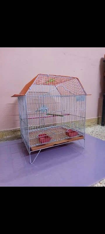 Bird. cage & Associres 0