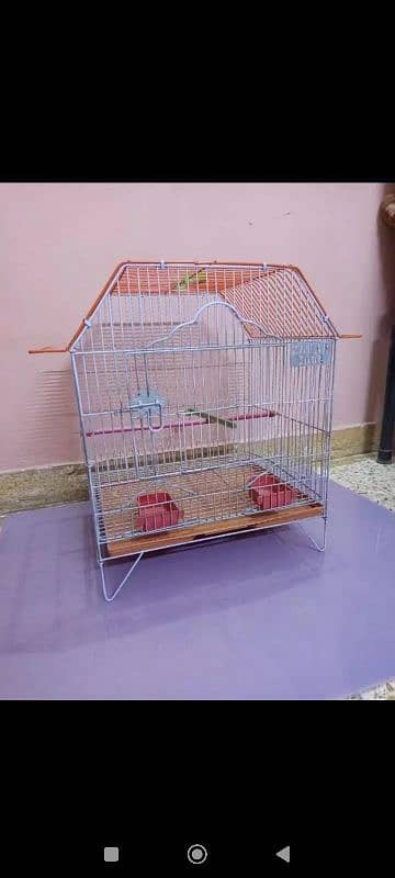 Bird. cage & Associres 1