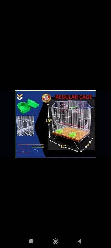 Bird. cage & Associres 2