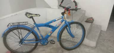 is cycle per 12 se lekar 16 sal ke bacche Chala sakte hain