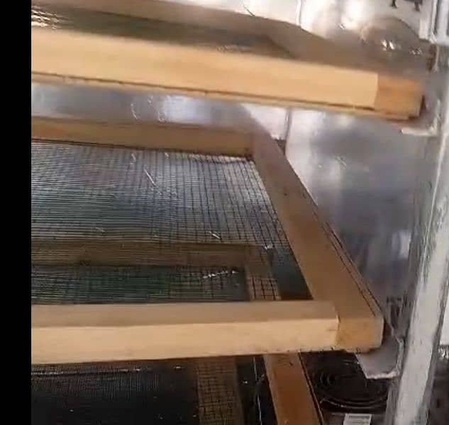 Automatic Incubator for Sale in Dera Ismail Khan 3