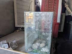 fish aquarium for sale