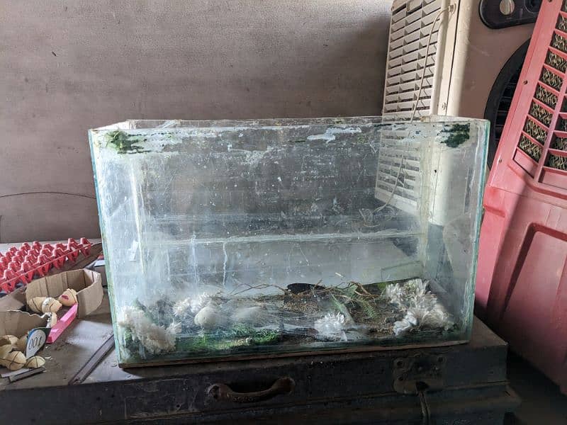 fish aquarium for sale 2