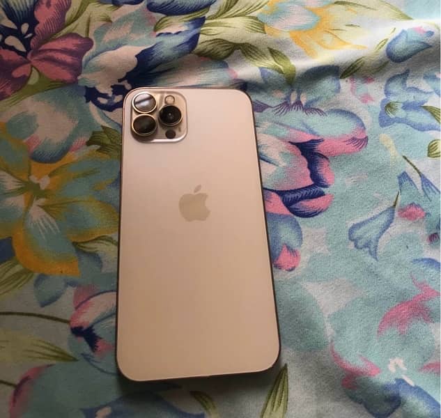 IPhone XS Max Convert 13 pro max 0