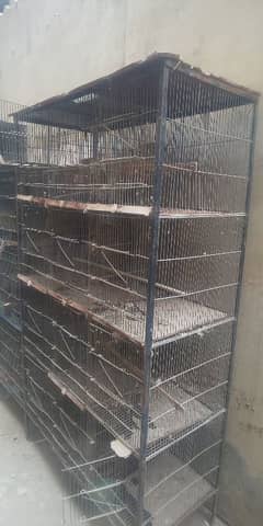 birds cage for sale