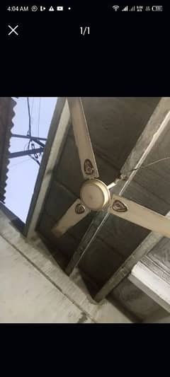 normal fan for sell