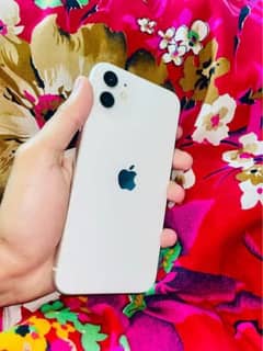 iPhone 11 FActory Unlock