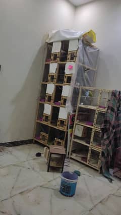 all cages for sale 0329/400/66/93