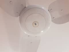 SK ceiling fan like brand new