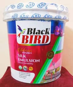 black bird pure