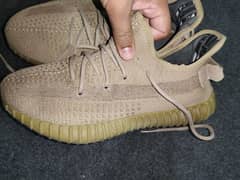 Adidas Yeezy Earth Tone - Imported (Size 8)