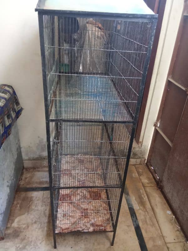 3 Portion Iron Cage 4