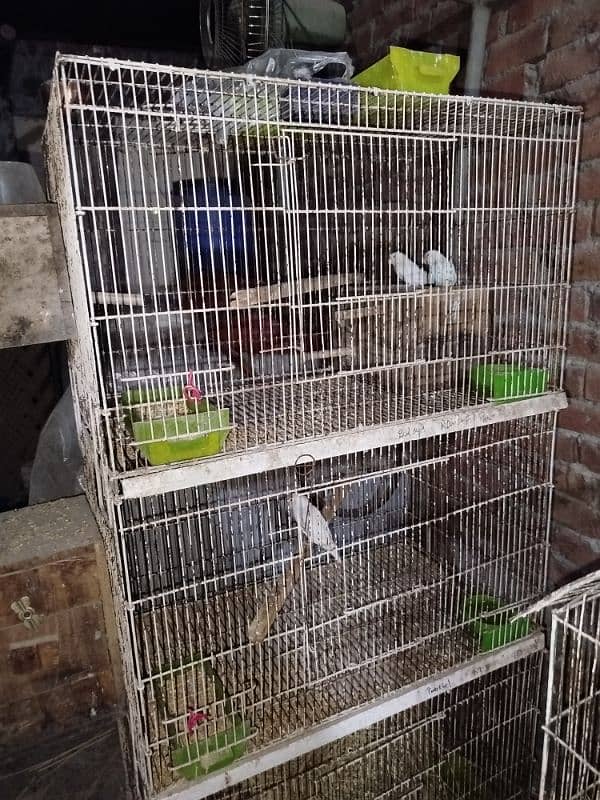 3 cage for sale 0