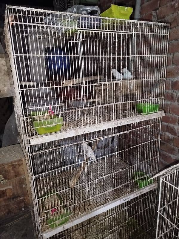 3 cage for sale 1