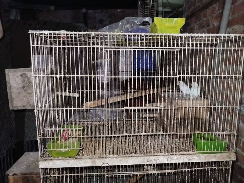 3 cage for sale 2